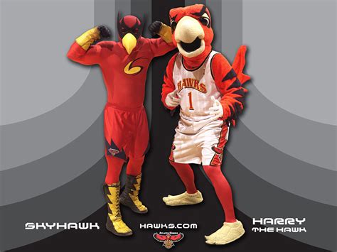Atlanta hawks team mascots outfits